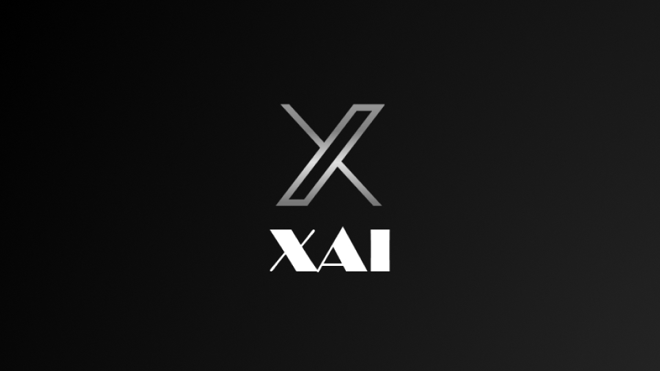 MLXplain